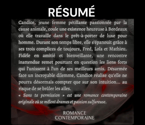 Sans ta permission - Tome 1 de la saga à pleine vitesse - Ebook (Format EPUB)
